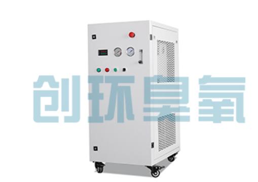 九江石斑鱼养殖水质调控完整指南:臭氧发生器配置与操作步骤