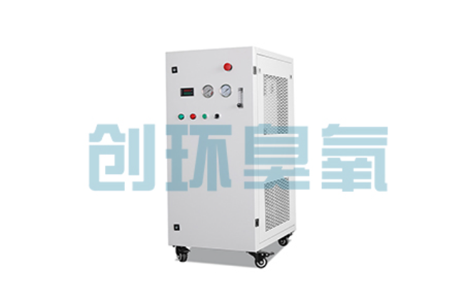 九江比传统换水更高效?臭氧发生器在石斑鱼养殖中的水质净化原理解析